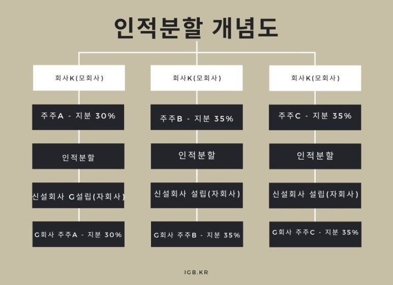 주주를 울리는 인적분할과 물적분할